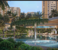 Prestige Southern star