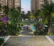 Prestige Southern star