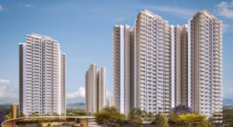 Prestige Southern star